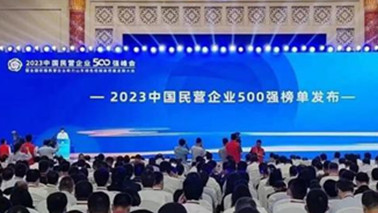 尊龙凯时集团位列2023中国民营企业500强第203位、2023中国制造业民营企业500强第139位